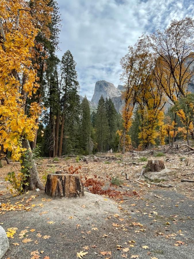 Yosemite Escapes - Pine Mountain Lake 格罗夫兰 外观 照片